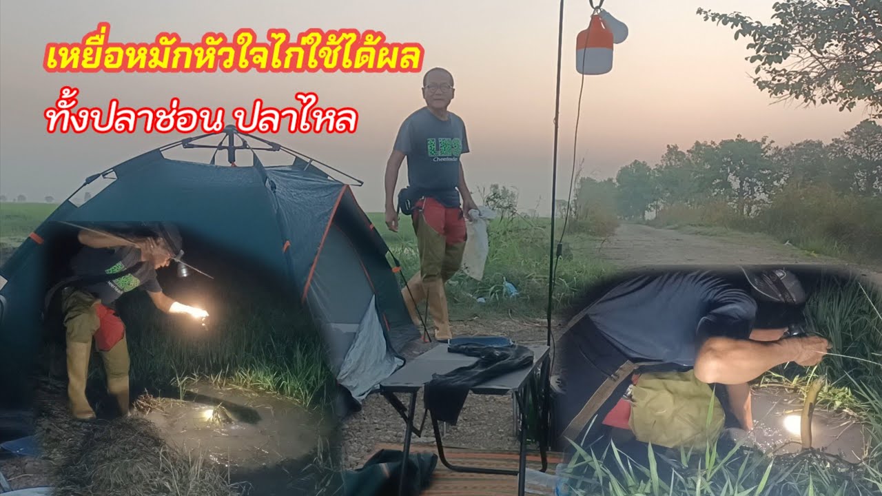 เอาแล้ว!!! ปักเบ็ดปลาไหล เหยื่อหัวใจไก่หมัก หมานทั้งปลาช่อน ปลาไหล นอนนาค้างคืนปักเบ็ด กินข้าวทุ่ง