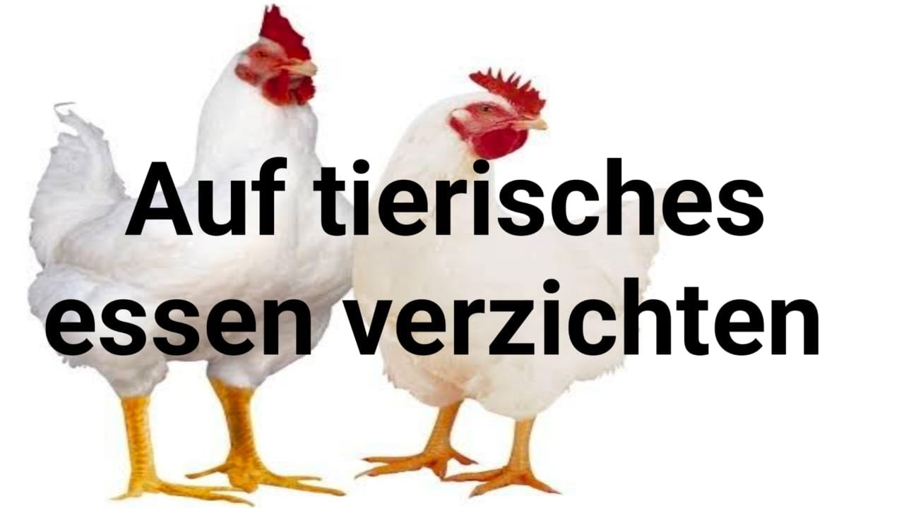 How to present in auf tieriches essen verzichten-B2 Goethe Sprechen