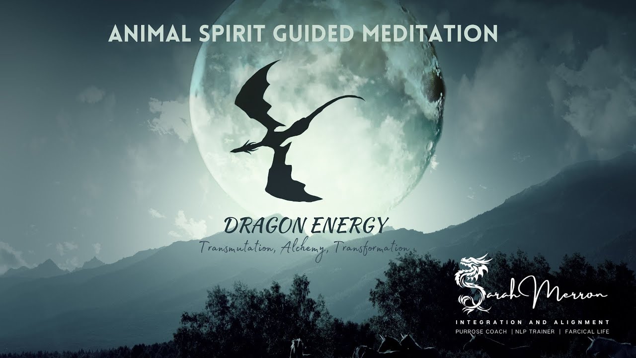Animal Spirit Guided Meditation Dragon Energy | Shamanic Meditation Series