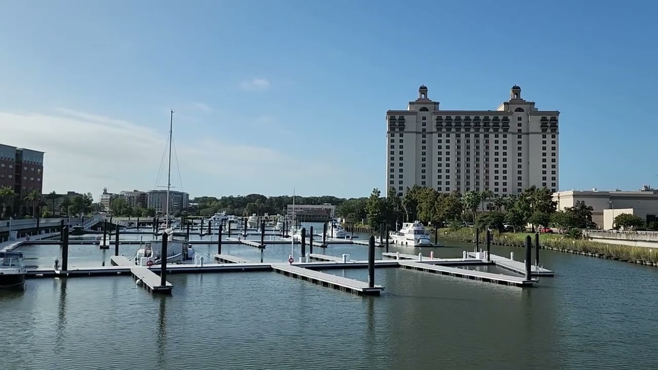Savannah 