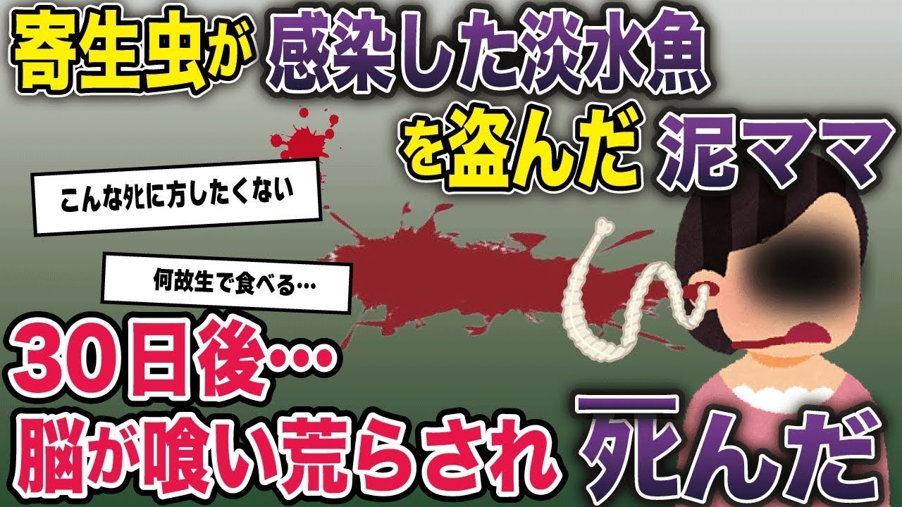 泥ママが川魚を盗む&rarr;刺身にして食う&rarr;泥ママの様子が明らかにおかしい。その魚には...【2ch修羅場スレ・ゆっくり解説・総集編】