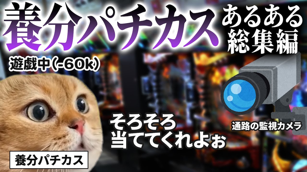 【総集編】養分パチカスの日常あるある【猫ミーム・猫マニ】