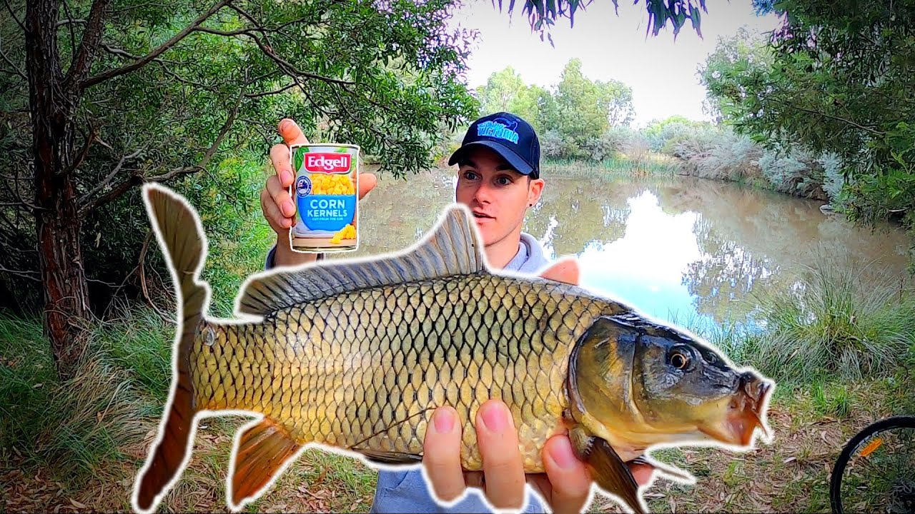 FISHING with CORN for BAIT!