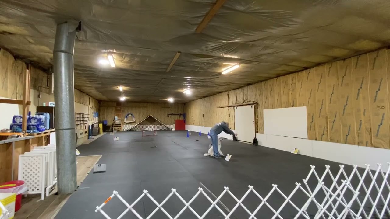 IMG 9340