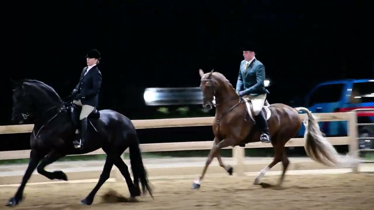 Jen in Class 61 - Open Hunter Pleasure at Dayton Horse Show in Springfield OH on July 31, 2025