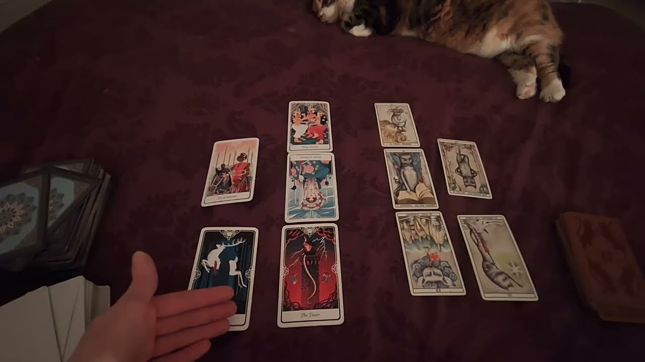 Boğa Burcu İlişki Açılımı | Mart 2026 Tarot Yorumu 