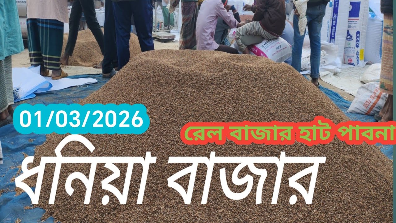 1 March 2026 আজকের ধনিয়া বাজার দর। রেল বাজার হাট চাটমোহর পাবনা। ধনিয়ার হাট বাজার 