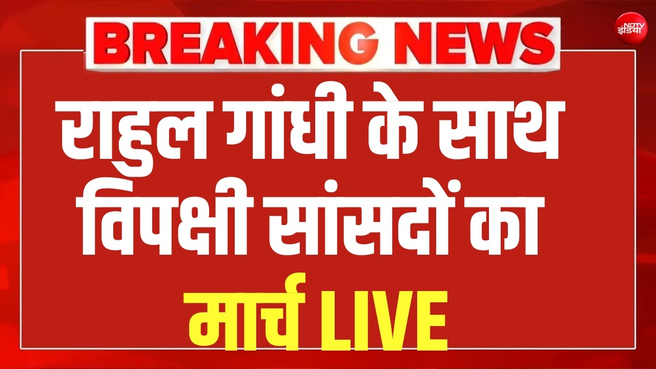 राहुल गांधी के साथ विपक्षी सांसदों का मार्च LIVE | CJP | Protest | Rajghat | NEET | Jantar Mantar