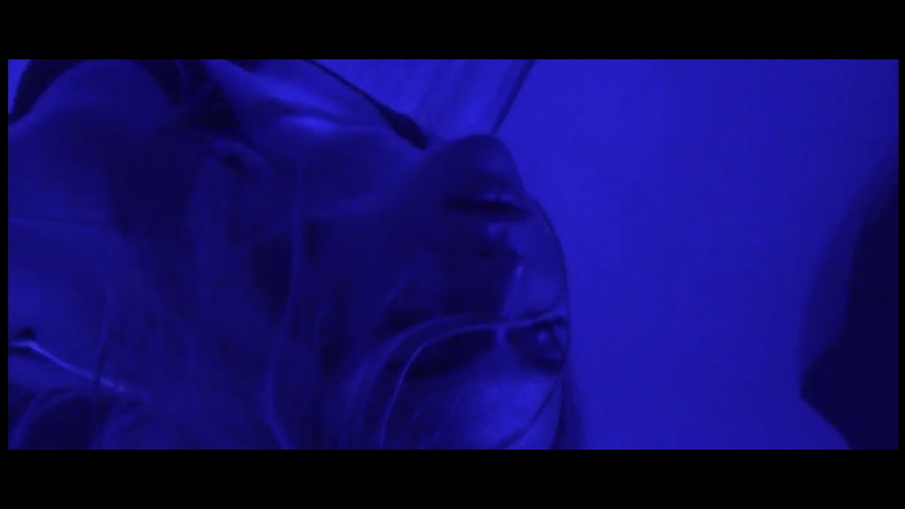 NEL - Niebieska Noc (Official Visualizer)