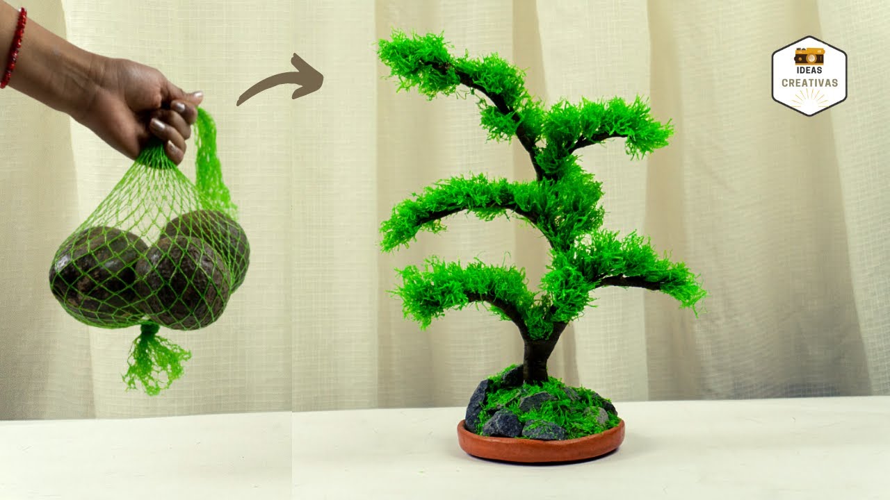 Bonsái con malla de supermercado | DIY ideas creativas