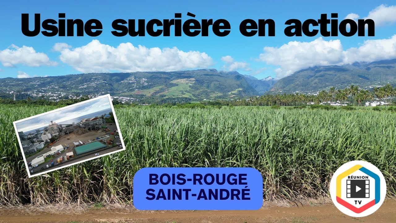 Une usine sucrière en action : Bois Rouge - Saint-André - Réunion