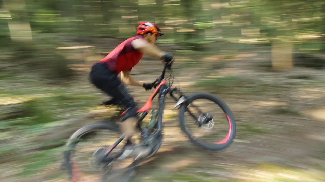 Deine e-Mountainbike Experten in Bamberg und darüber hinaus