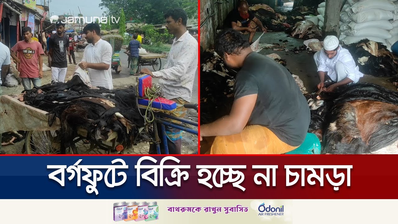 চামড়ার দাম নিয়ে নৈরাজ্যের অভিযোগ; কেমন চলছে সংগ্রহের কাজ? | Leather Collection | Jamuna TV