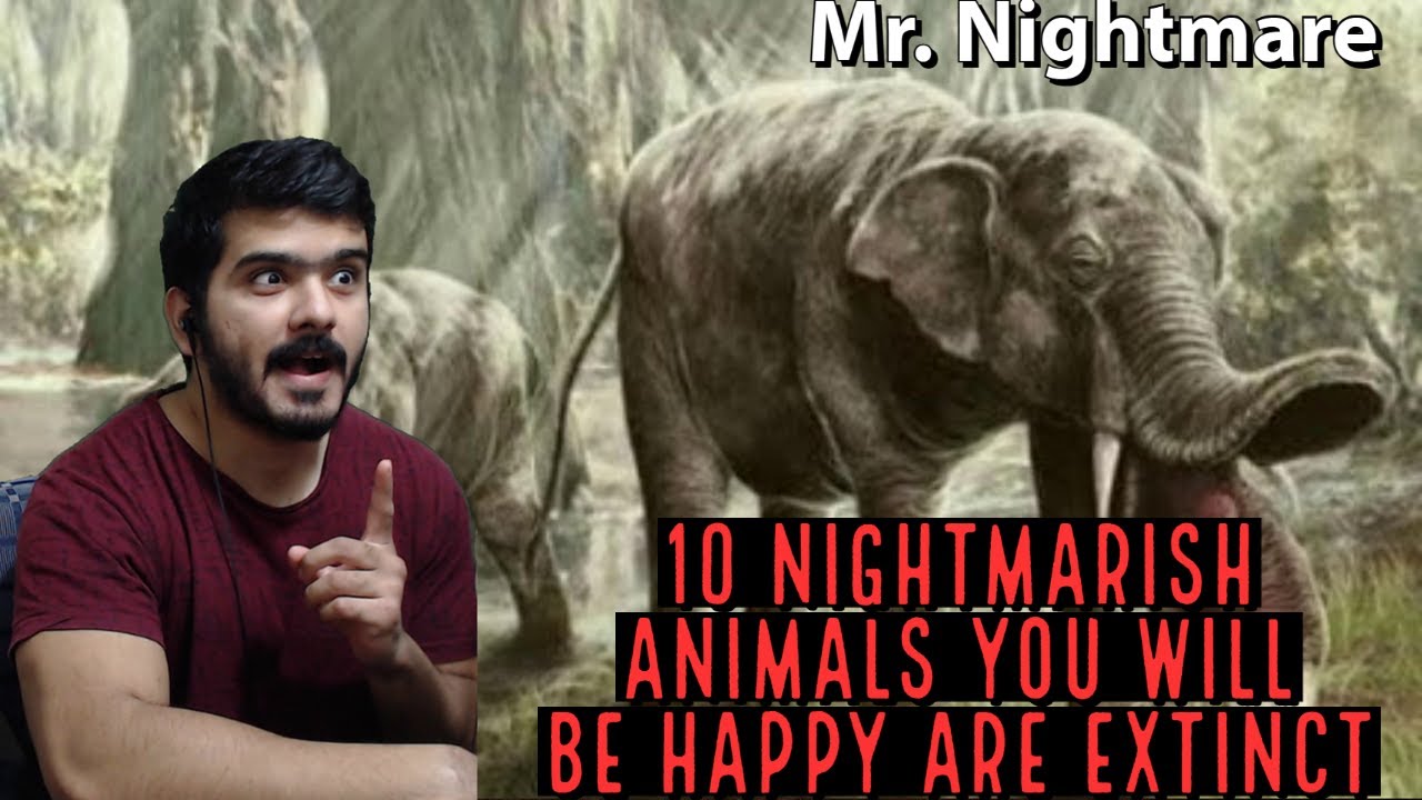 10 Nightmarish Animals you will be Happy are Extinct (Mr. Nightmare) Reaction