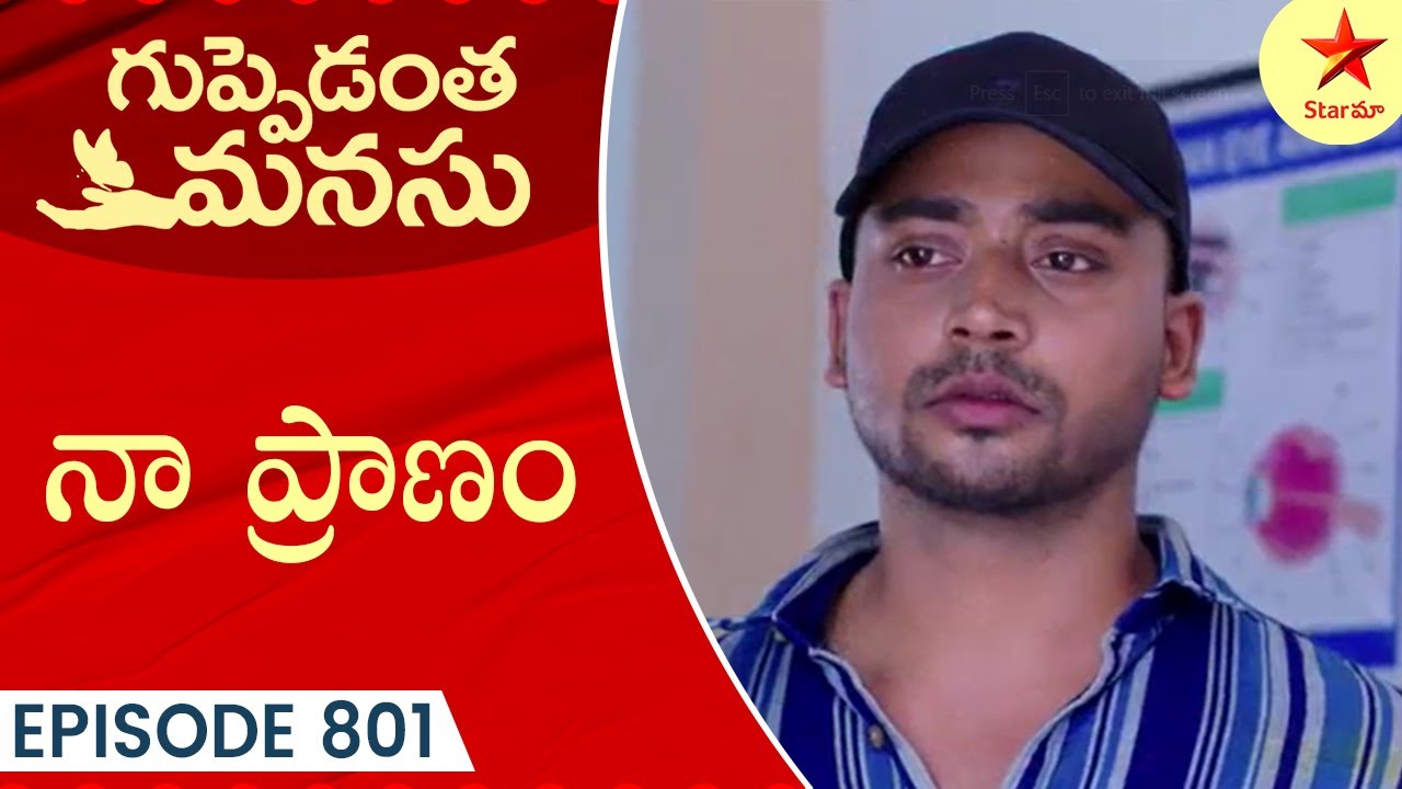 Guppedantha Manasu - Episode 801 Highlight 1 | Telugu Serial | Star Maa Serials | Star Maa