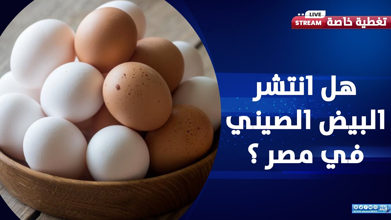 حقيقة انتشار البيض الصيني في الاسوق..وسر ارتفاع سعر الكرتونة