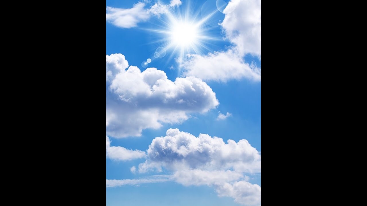 Spring mood (relaxing video)