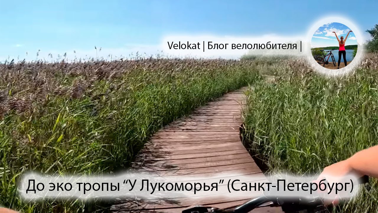 Велоэкскурсия к экотропе 