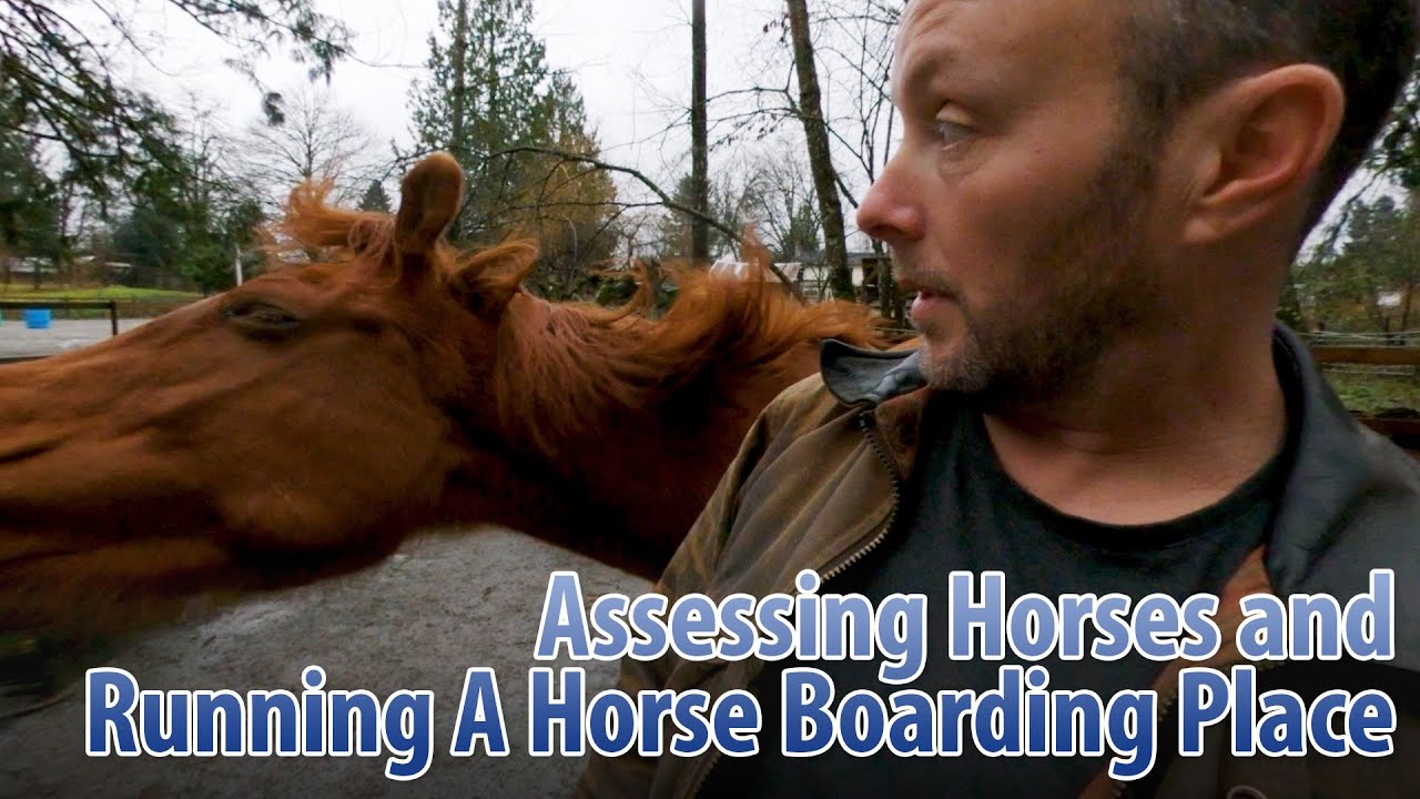 Running A Horse Boarding Facility