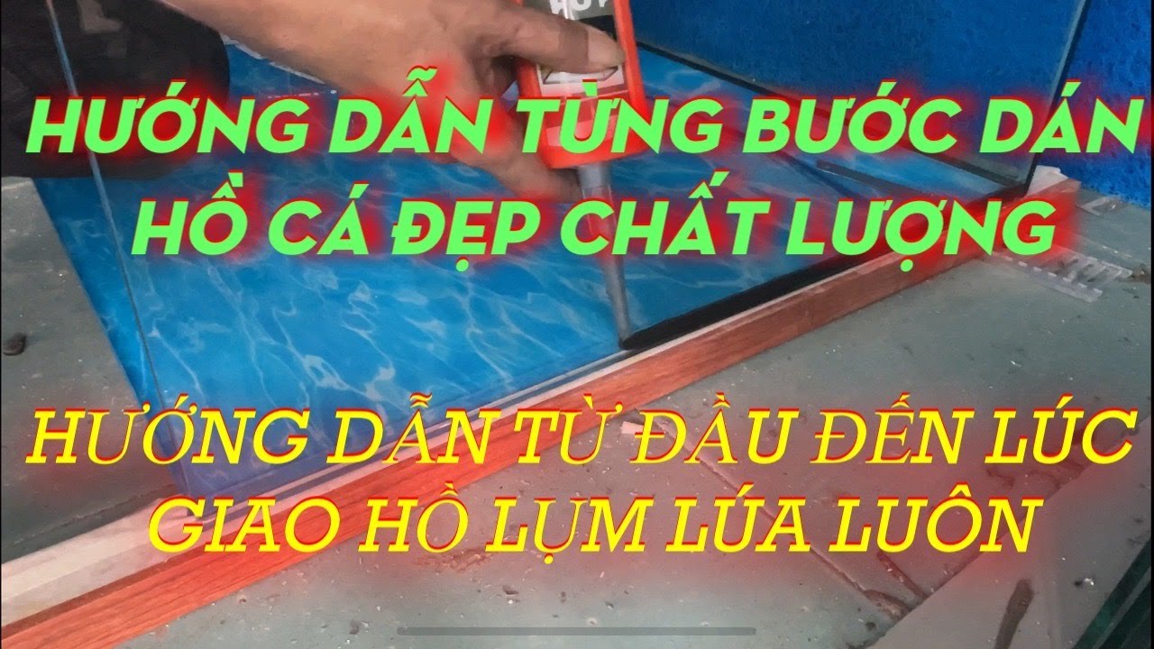 HƯỚNG DẪN CÁC BƯỚC DÁN HỒ CÁ  ĐẸP  VÀ CHẤT LƯỢNG