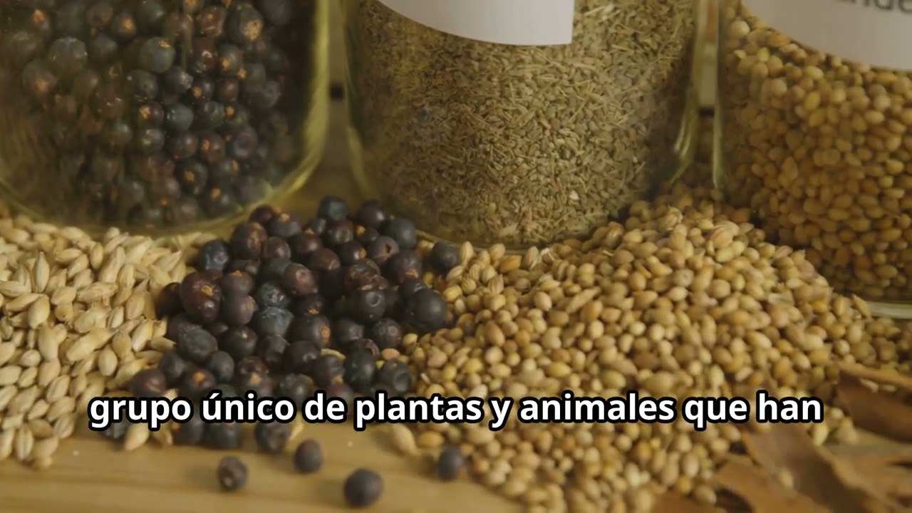 Flora y Fauna de la Regi&oacute;n Caribe de Colombia