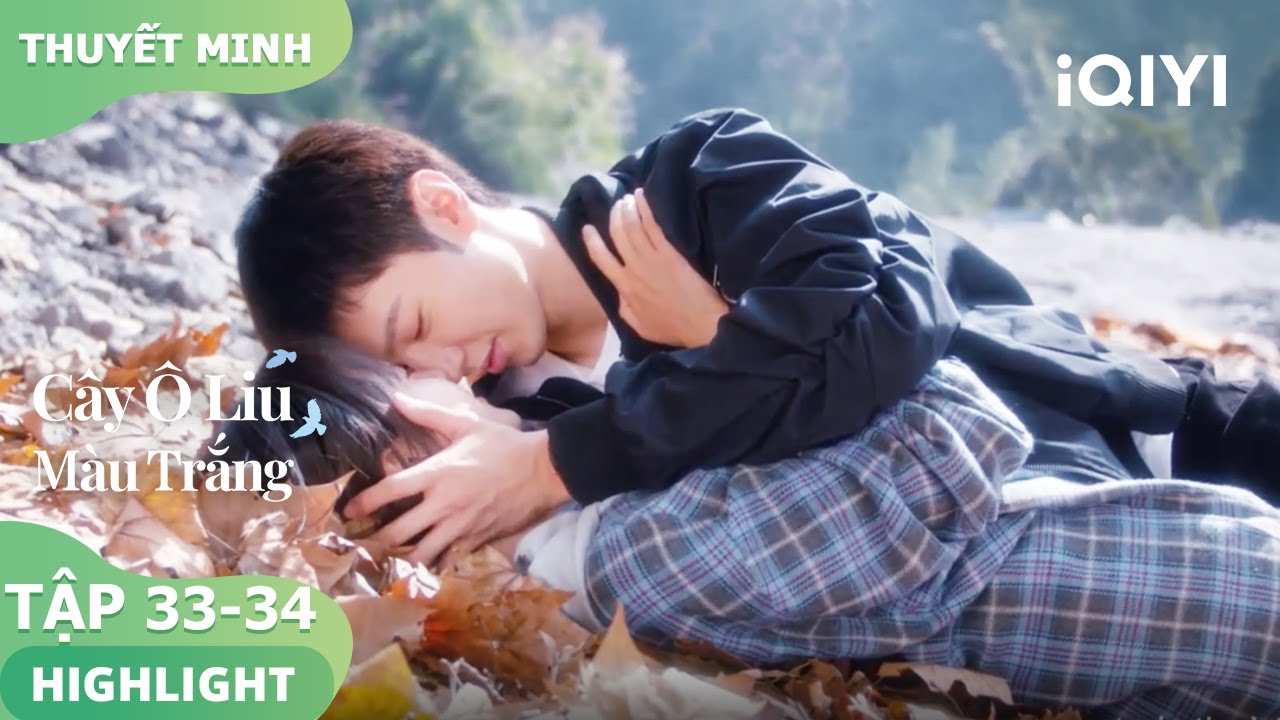 💕Li Trán lại sụp đổ, Tống Nham ở bên cạnh | Cây Ô Liu Màu Trắng33-34 | iQIYI Vietnam