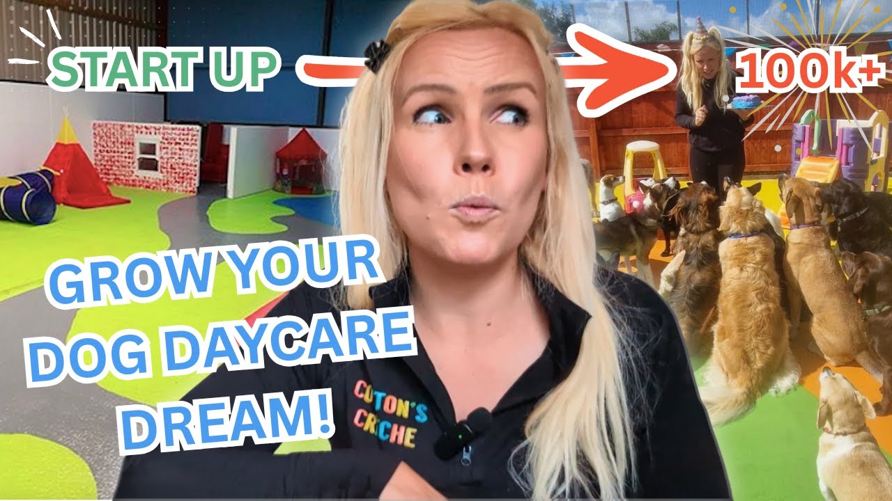 How I Started My Dog Daycare From Scratch: 9 Years, Endless Dogs & What I’ve Learned