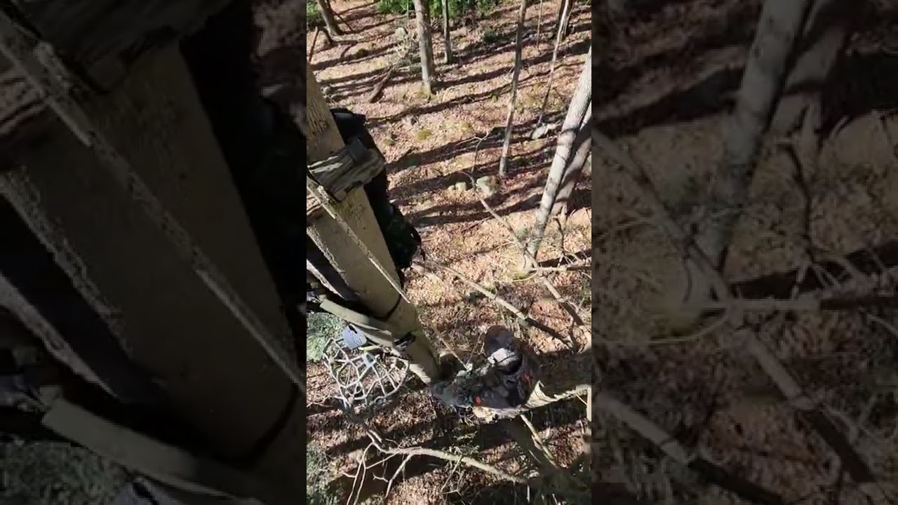 EASIEST Way To Get Rappel Rope Out Of Tree While One Sticking!! ONE STICK SADDLE HUNTING!! 