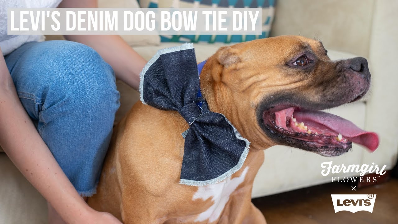 Farmgirl x Levi's Denim DIY - Dog Bow Tie