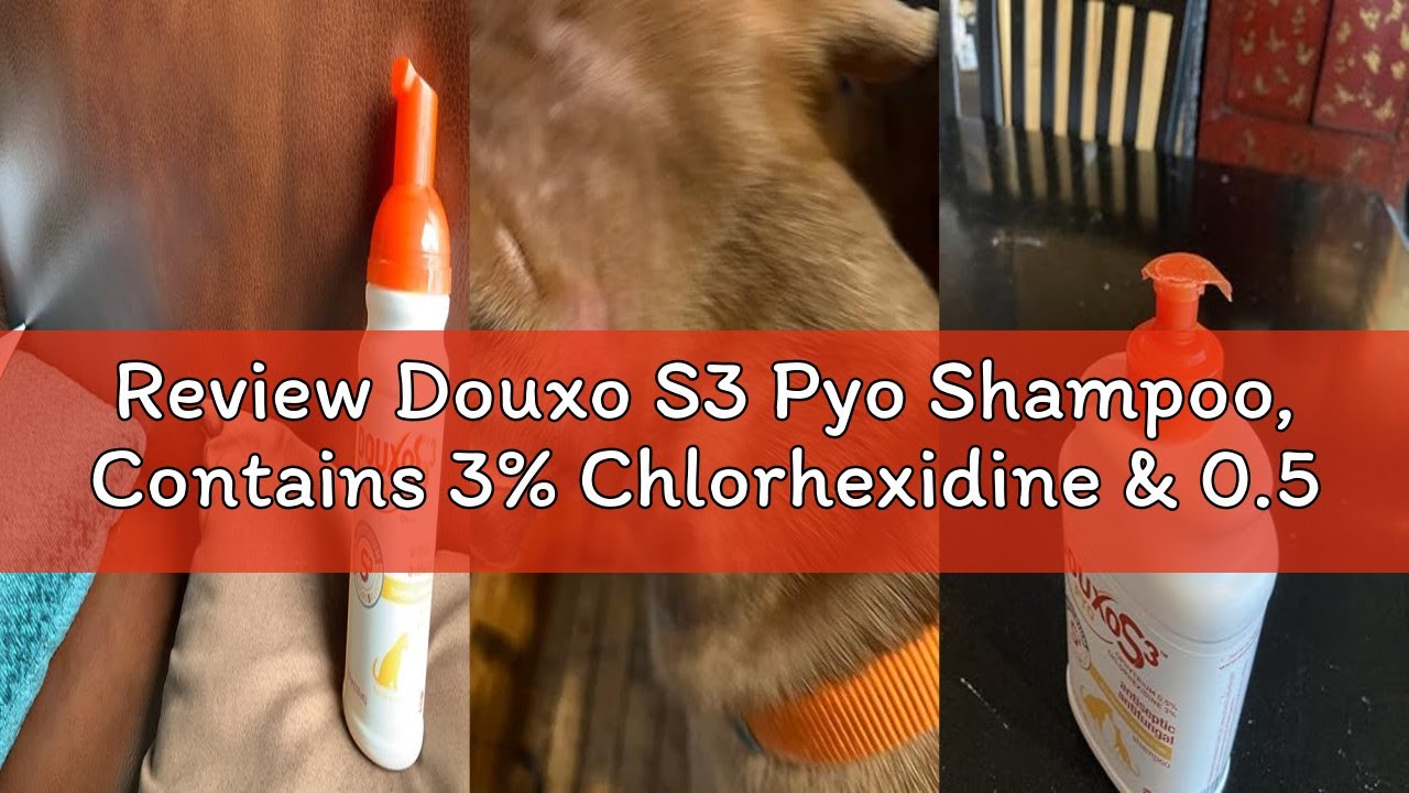 Review Douxo S3 Pyo Shampoo, Contains 3% Chlorhexidine & 0.5% Ophytrium, Antiseptic & Hydrating, For