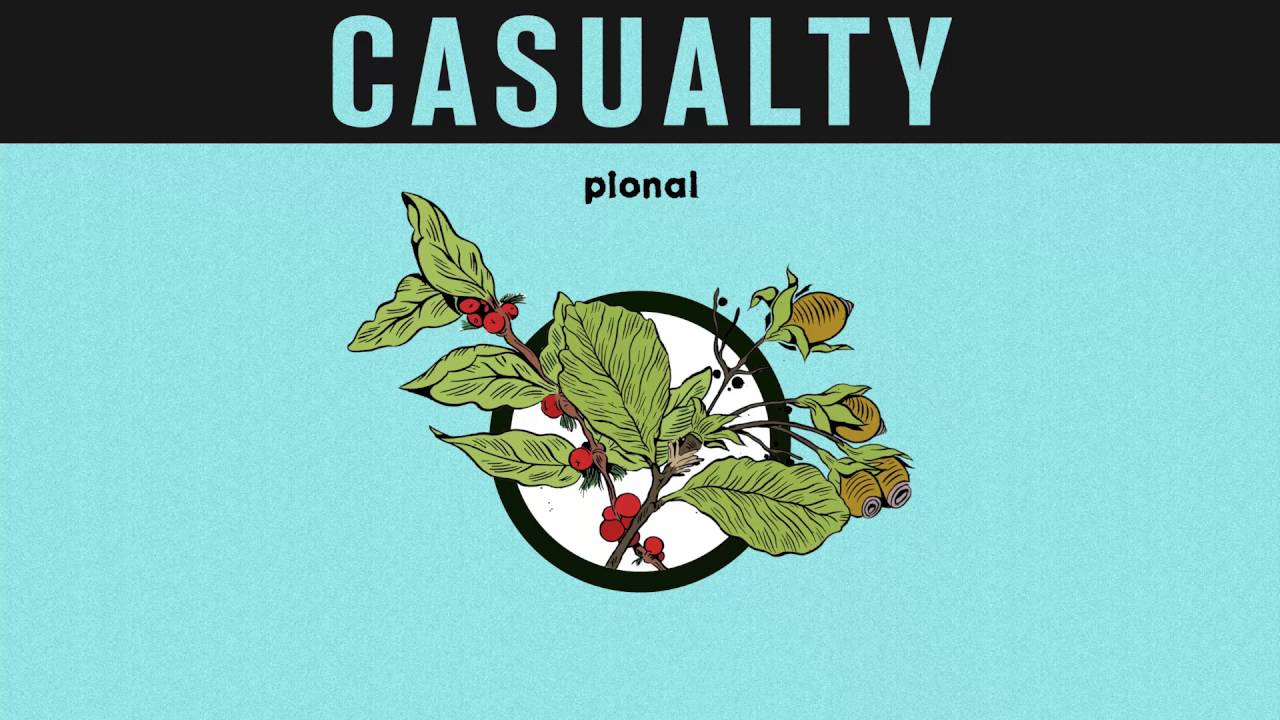 Pional - 'Casualty'
