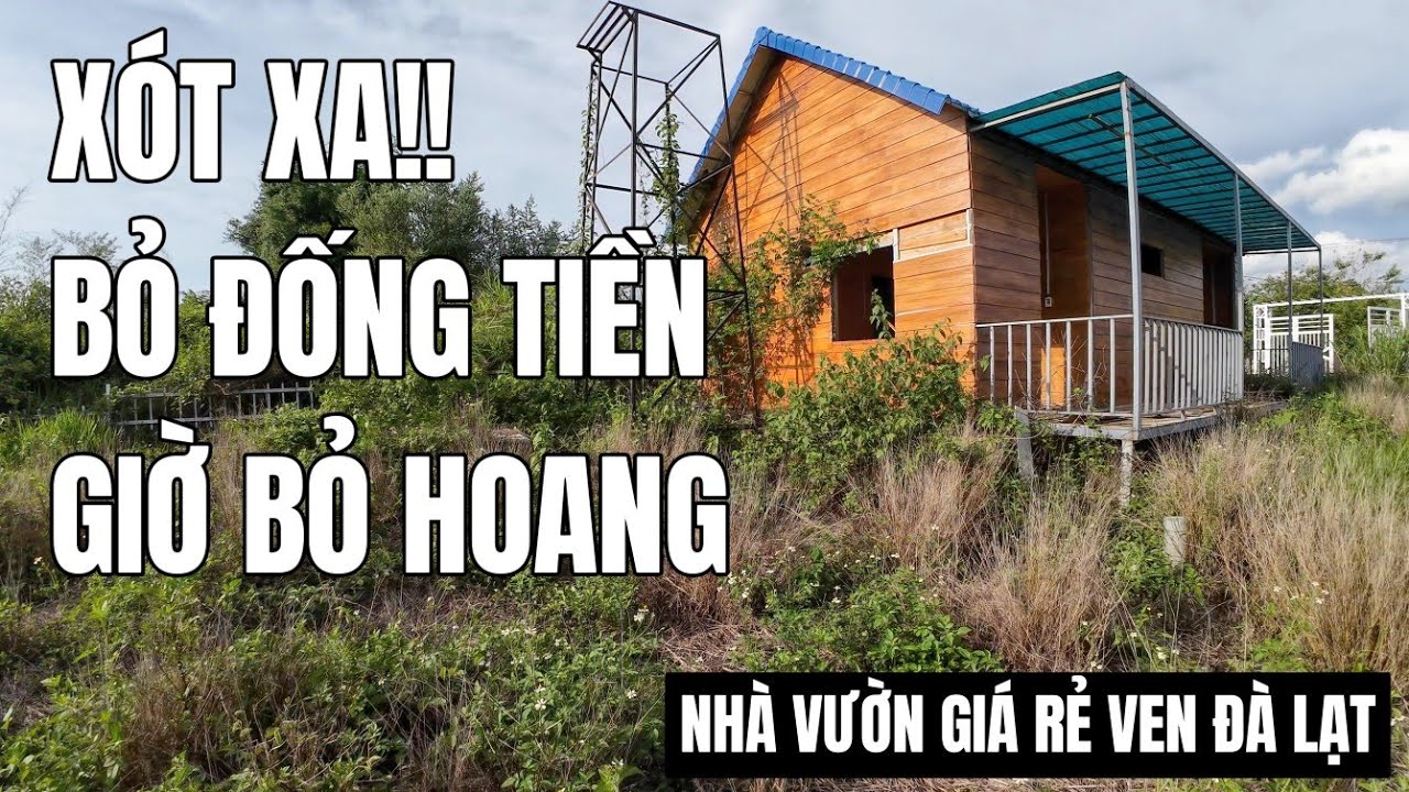 ( Đã Bán) Xót xa chạy theo trào lưu Bỏ Phố về Rừng| giờ bán lỗ 50% tài sản.