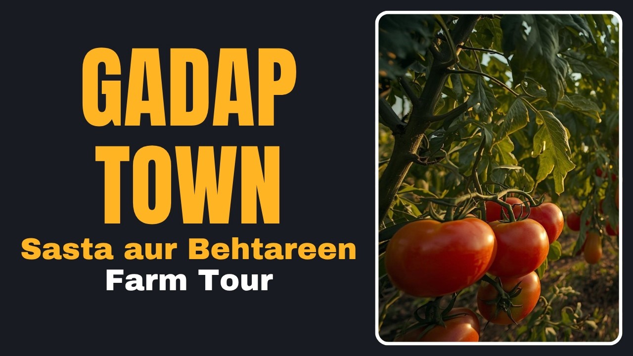 🌿 Gadap Town Karachi mein Apne Khwaboon ka Farm House Banayein! 🏠