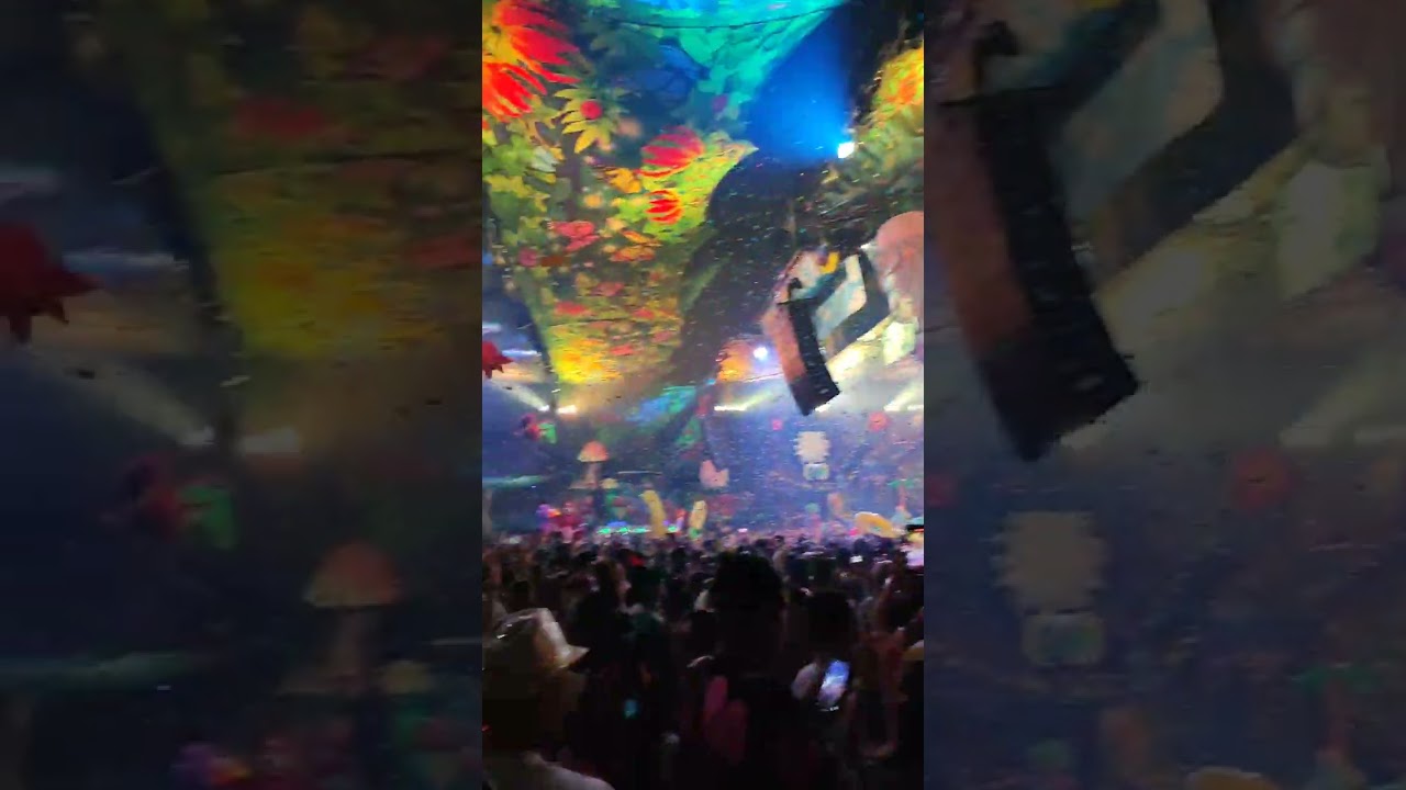 ELROW Enchanted Forest 2024 Sofia  #electronicmusic #festival #techno #party