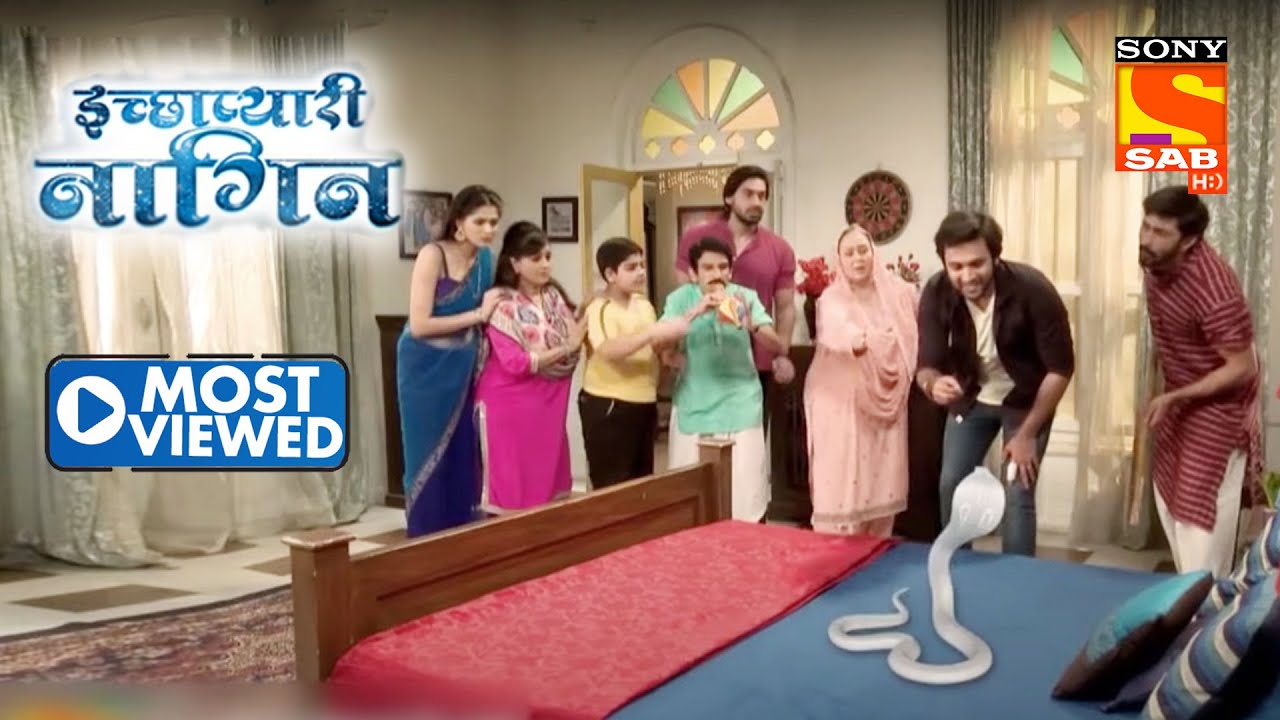 जब इंसान ने कर ली एक Snake से दोस्ती! | Icchapyaari Naagin | Most Viewed