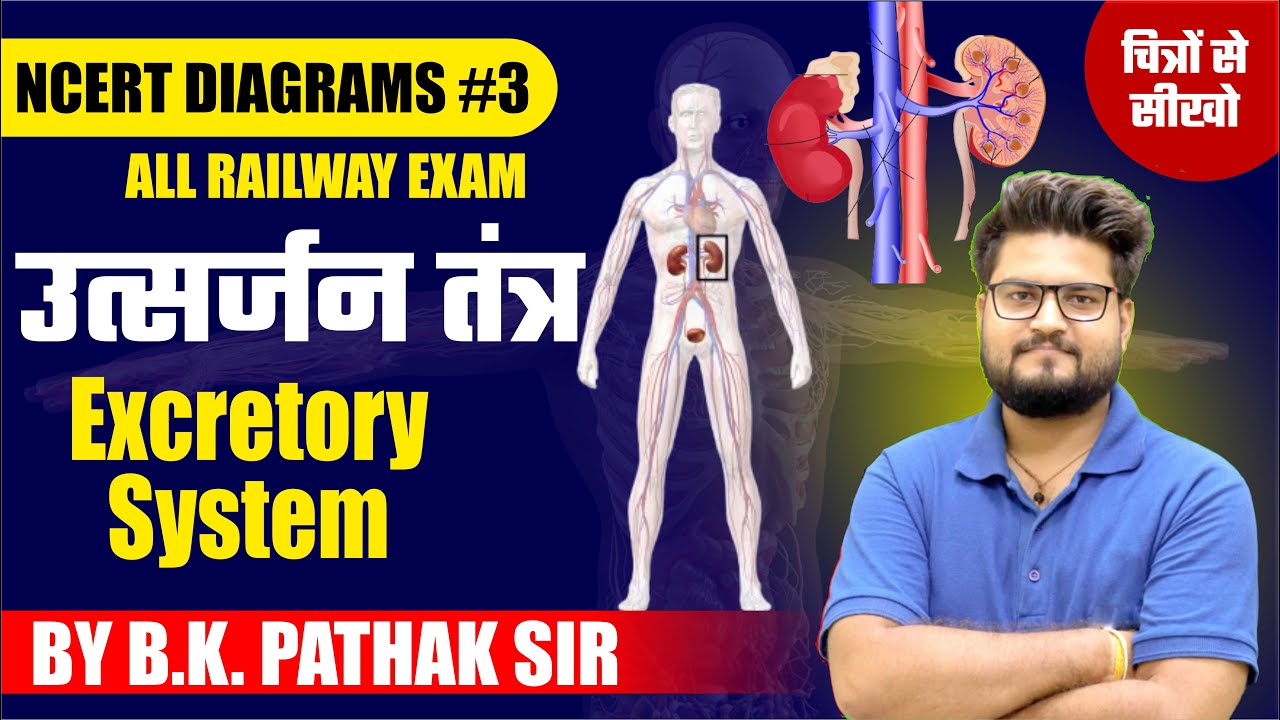 Excretory System (उत्सर्जन तंत्र) NCERT Diagrams For RRB Railway Exam By BK Pathak Sir