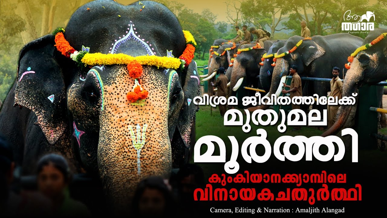 MUTHUMALA MOORTHY | Theppakkadu Vinayaka Chathurthy | Kumki | Muthumala Elephant Camp | Aanatthaara