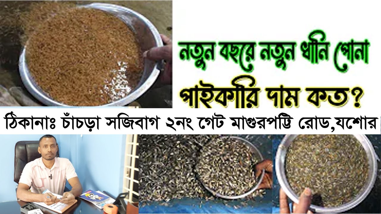 দেশীয় সকল প্রকার মাছের রেনু ও ধানি পোনার দাম জানুন যোগাযোগঃ 01729 550185 old video