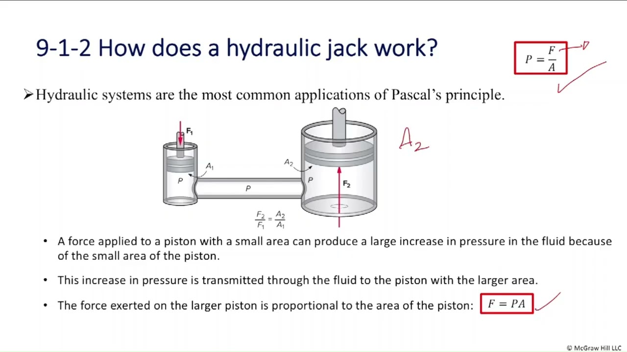 The Behavior of Fluids: Pressure, Pascal’s principle, Atmospheric pressure and the behavior of gases
