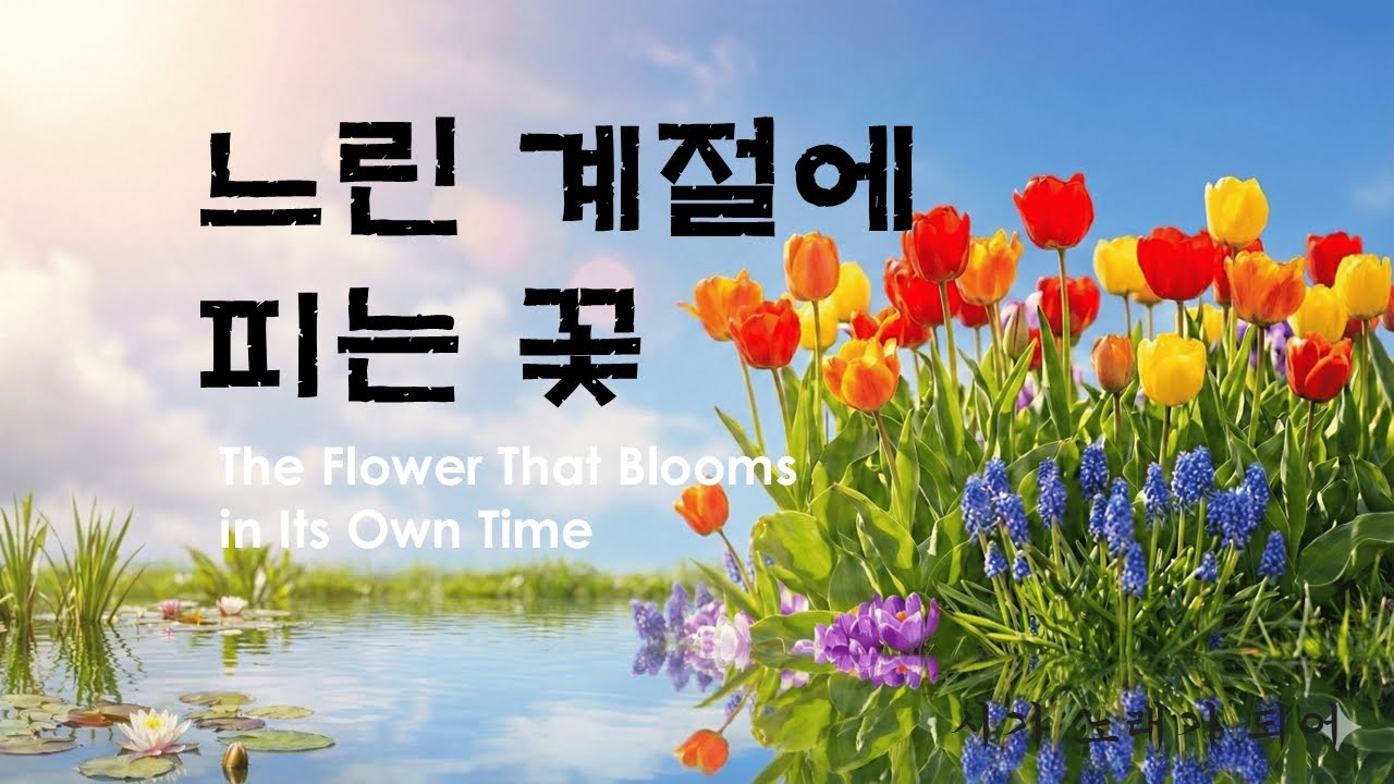 [K-Pop Ballad] 느린 계절에 피는 꽃 | The Flower That Blooms in Its Own Time | 기다림, 가장 긴 기도 (세상의 모든 느린 아이들에게)
