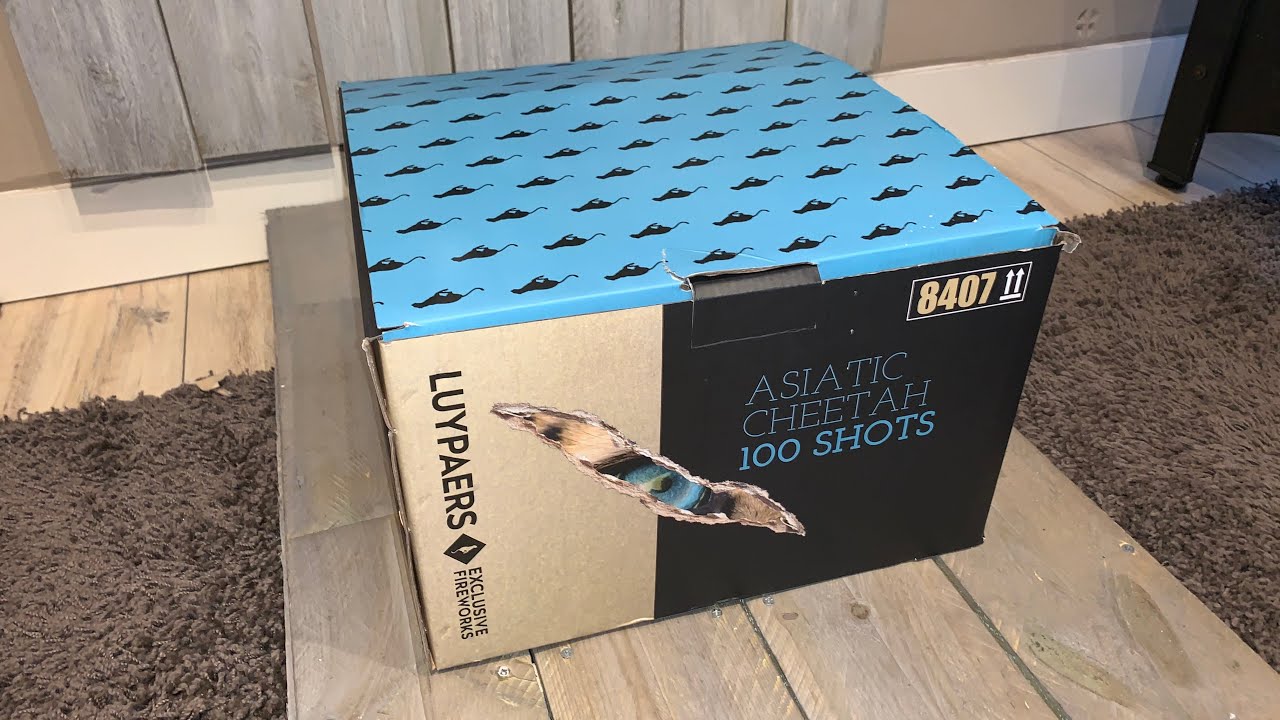 Asiatic Cheetah : Luypaers BE : 100 Shots : 30mm : Straatfilm