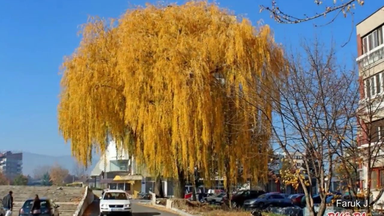 Bugojno moje