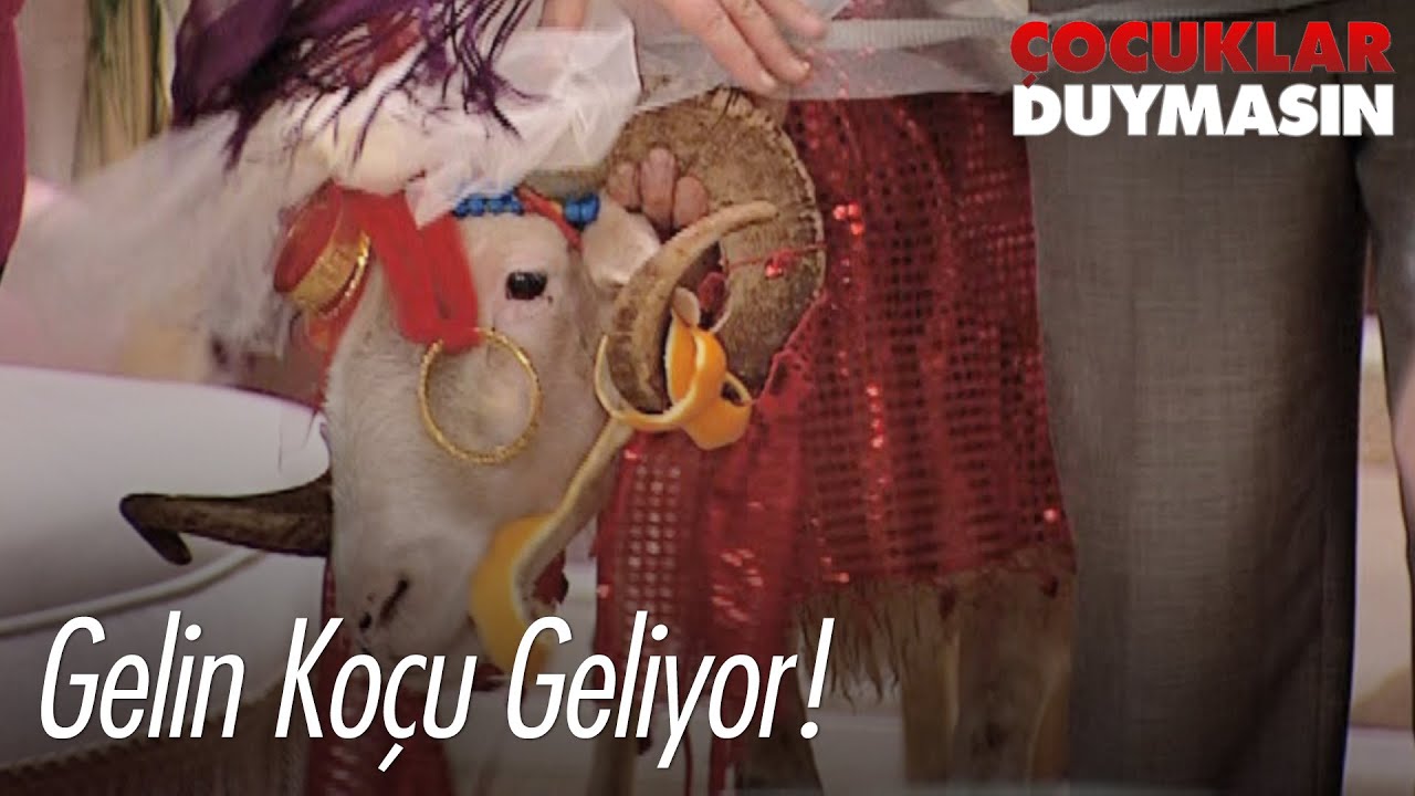 Gelin koçu geliyor! - Çocuklar Duymasın
