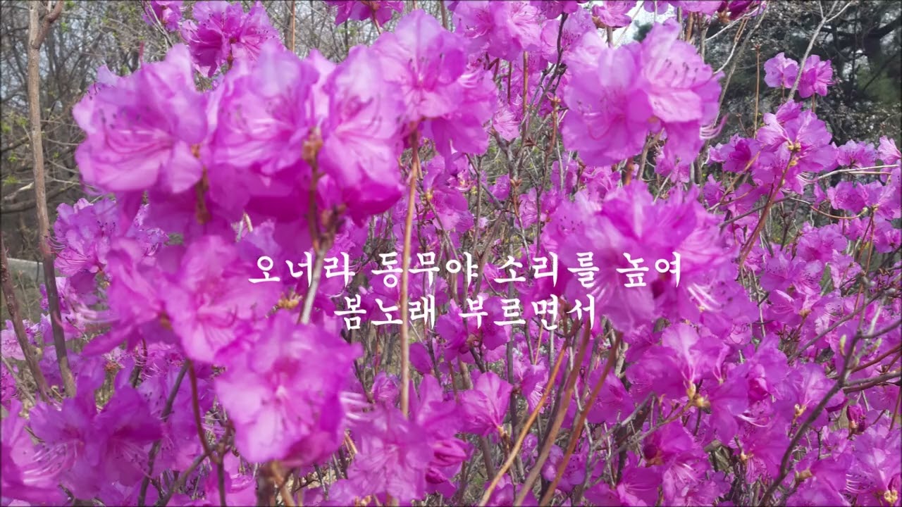 봄 노래부르자