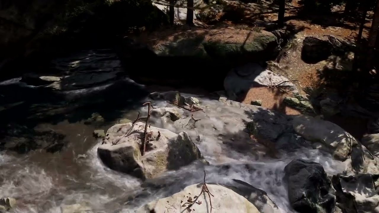 Fluid Flux - Forest River