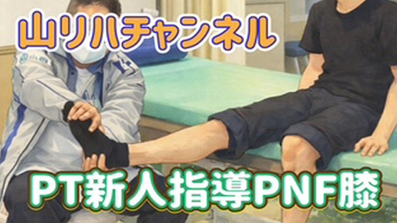 PT新人指導PNF膝2026