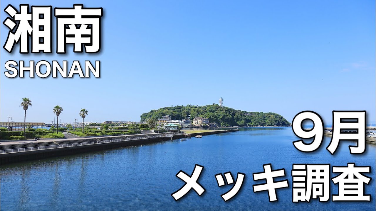 湘南 メッキ調査【メッキ・セイゴ爆釣回】