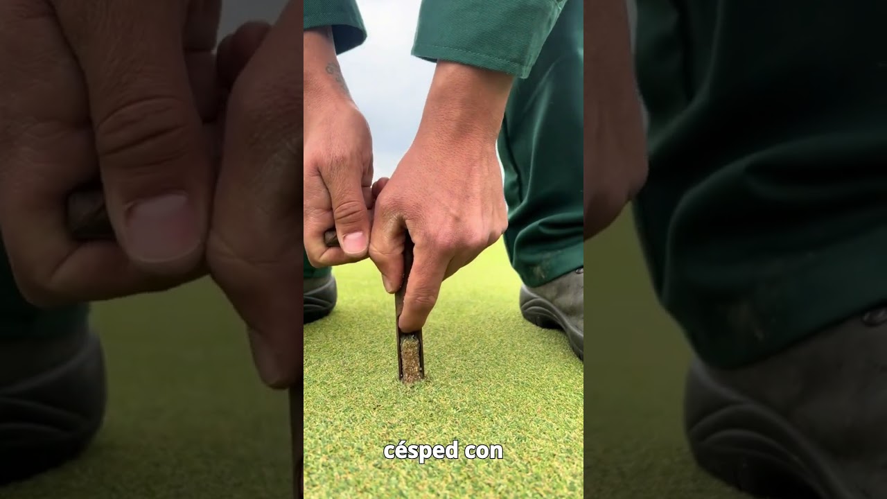La técnica de la "Cata de Jamón" aplicada al Golf ¿Qué hay bajo el Green? 