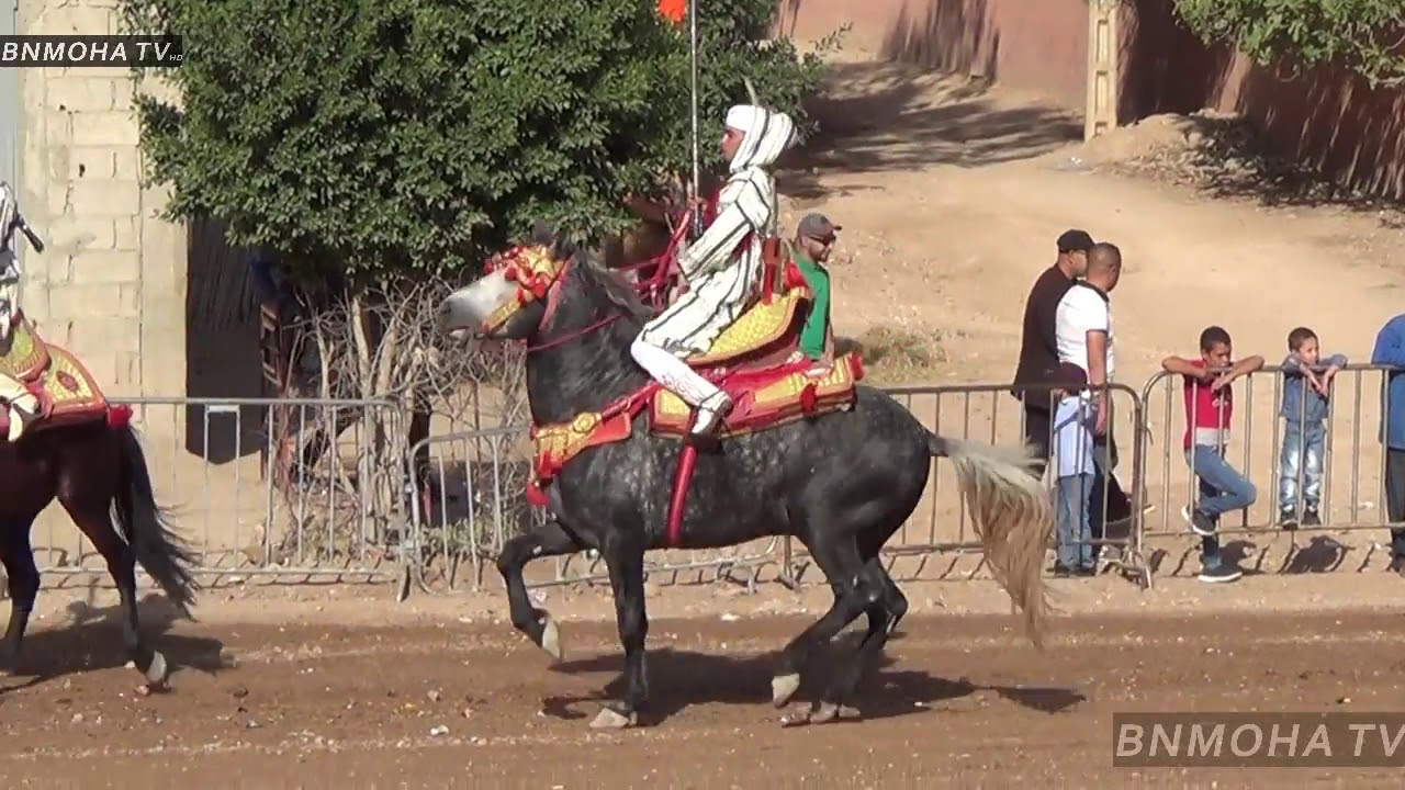 موسم التبوريدة ب اولاد عبد الله اليوم الثاني بالجودة العالية  2019