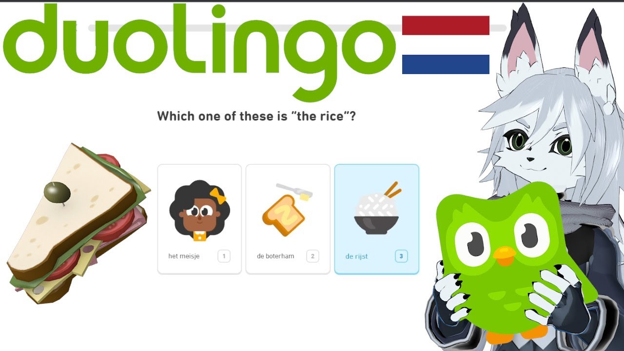 Burger Kon Learns Dutch??? - Duolingo (Dutch) Part 1